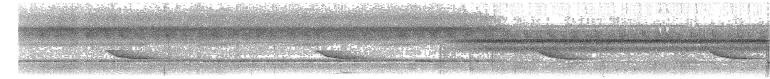 Néocossyphe à queue blanche - ML203921111