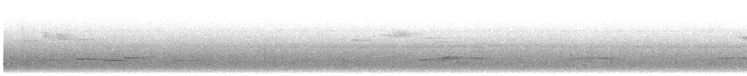 Papamoscas de Célebes (Tanahjampea) - ML203921321