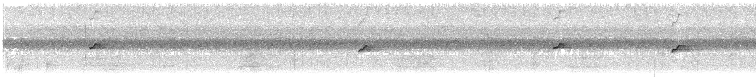 Supertramp Fantail - ML203921471