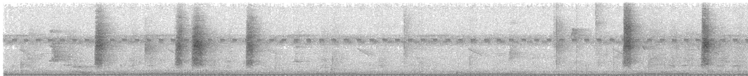 Polochion casqué (buceroides/neglectus) - ML203921511