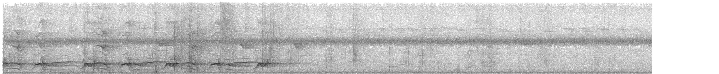 Polochion casqué (buceroides/neglectus) - ML203921531