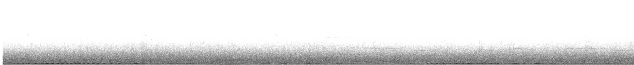 holub temný - ML203921641