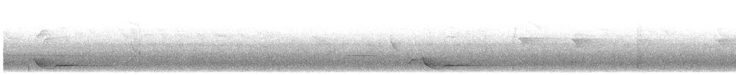 Oropéndola de la Wetar - ML203921651