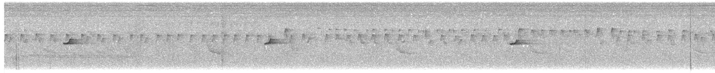 Supertramp Fantail - ML203921721