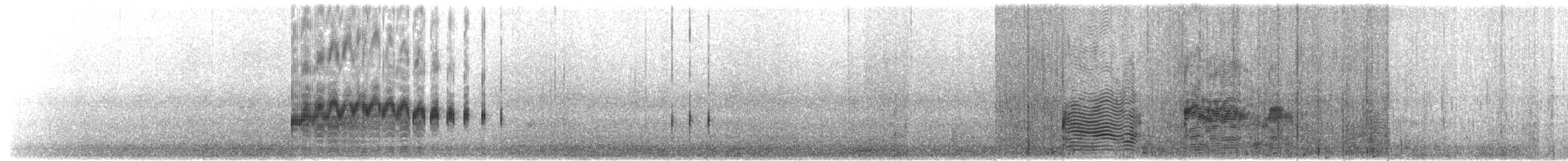 אלבטרוס לבן-כיפה (steadi) - ML203921851