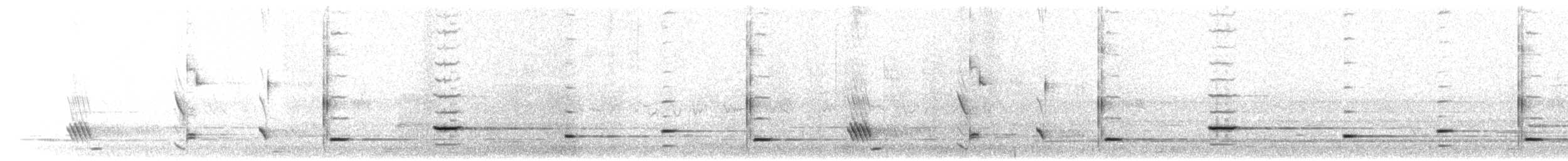 Méliphage carillonneur - ML203921991
