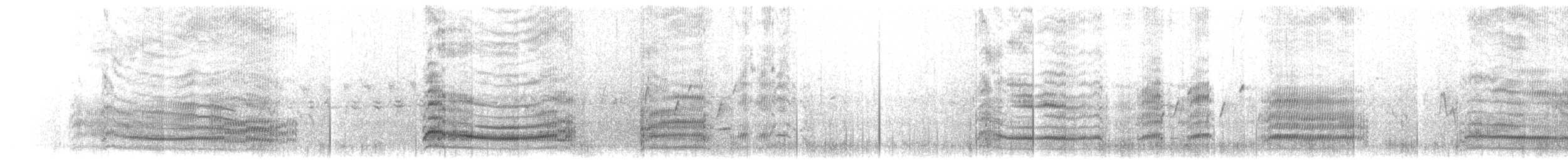 Mouette argentée (scopulinus) - ML203922061
