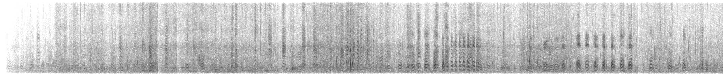buřňák černobílý (ssp. capense) - ML203922071
