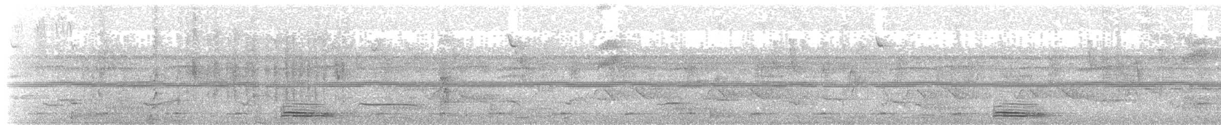 Motmot à bec large (groupe platyrhynchum) - ML203922381