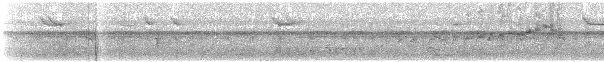 Western Bluebill (Western) - ML203923161