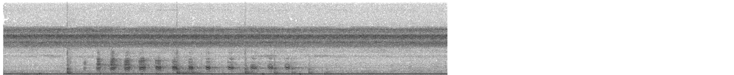 Yassı Gagalı Balıkçıl (cochlearius/panamensis) - ML203923941