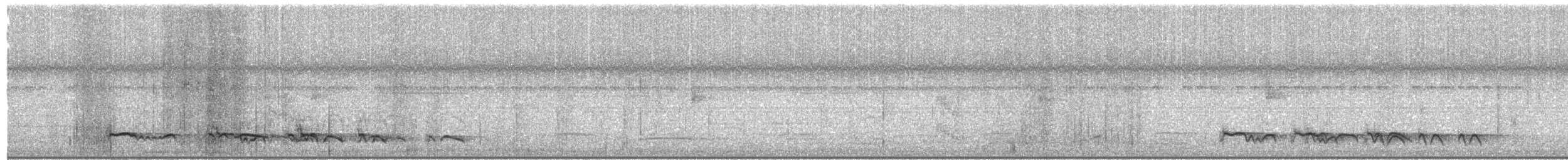 Лінивка-смугохвіст плямистобока (підвид maculatus) - ML203924031