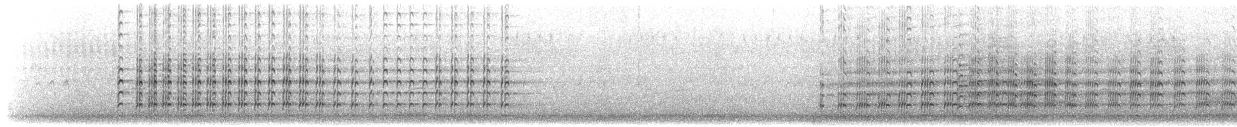 Чайка білошия (підвид novaehollandiae) - ML203924171