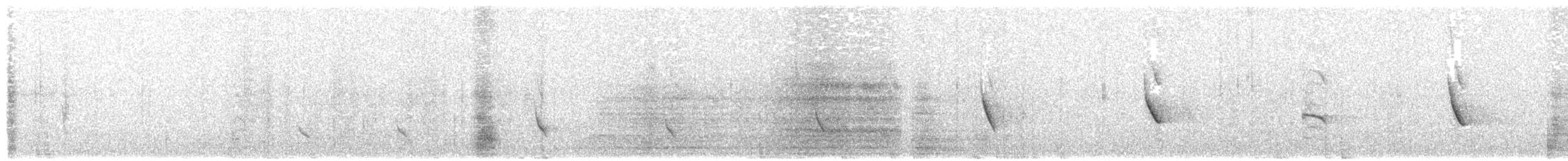 Fischadler (haliaetus) - ML203924721
