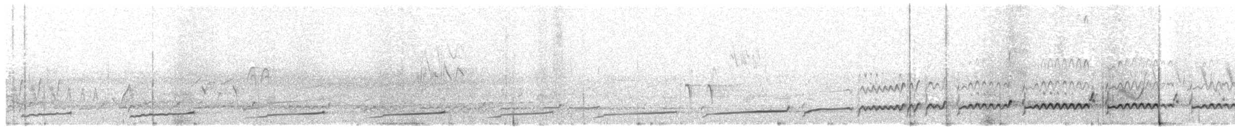 koliha malá (ssp. phaeopus) - ML203924741
