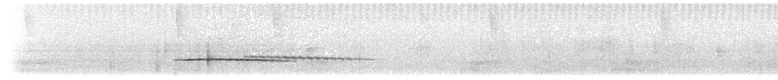 skiferkronemaurpitta (nana gr.) - ML203924841