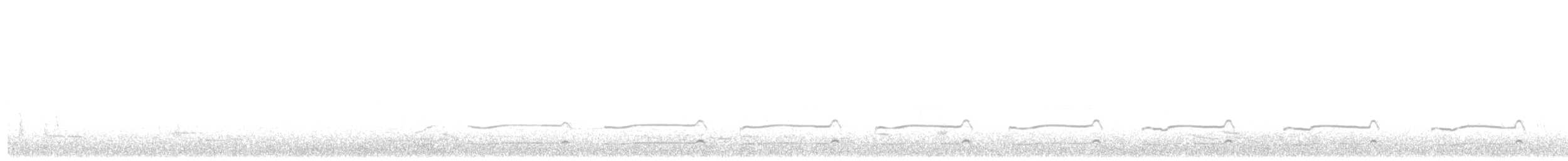 Black-tailed Godwit (European) - ML203925031
