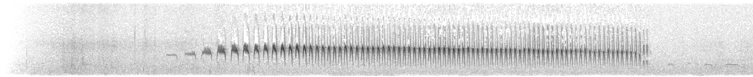 Weißstrichelcanastero - ML203925051