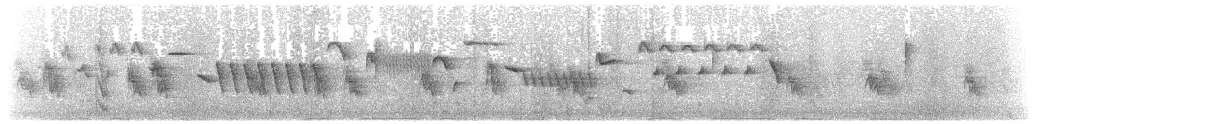 střízlík obecný (ssp. indigenus) - ML203925381