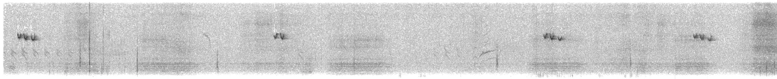 Tuntun siberiarra - ML203925761