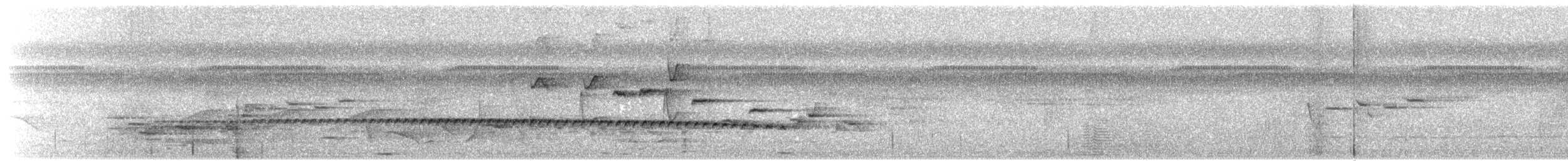 Pied Bronze-Cuckoo - ML203925991