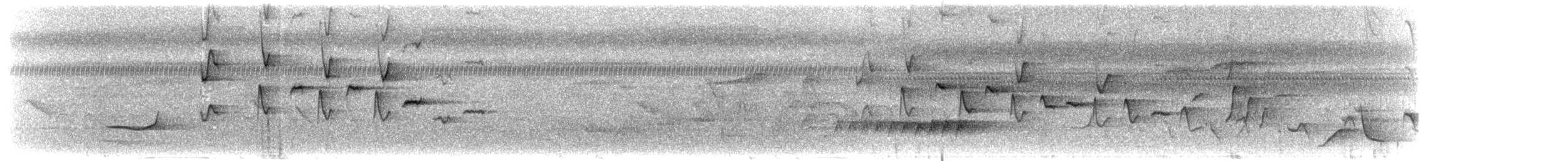 Supertramp Fantail - ML203926101
