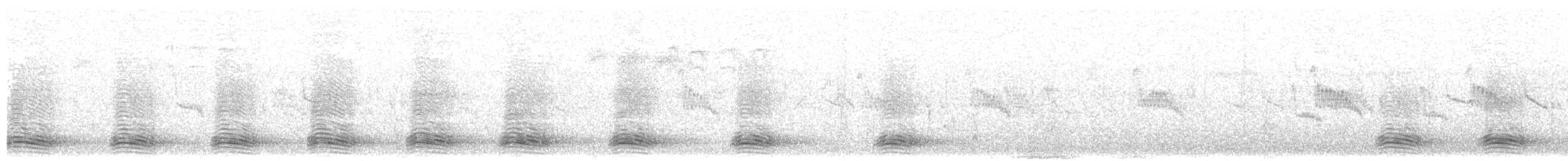 Cuervo Picudo (grupo macrorhynchos) - ML203927051