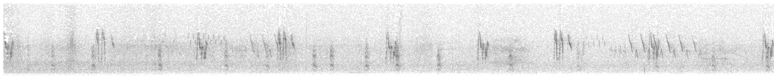 konipas bílý (ssp. ocularis) - ML203927611