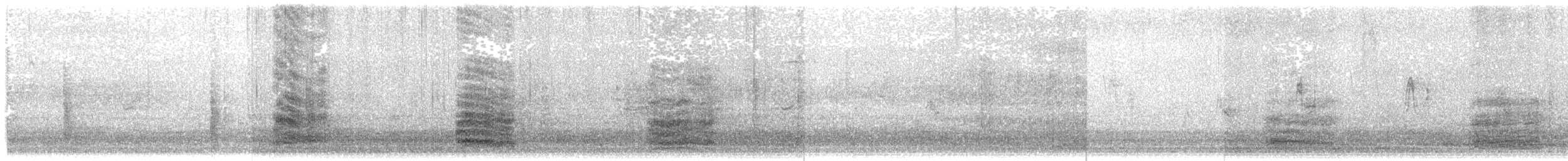 Western Reef-Heron (Western) - ML203927681