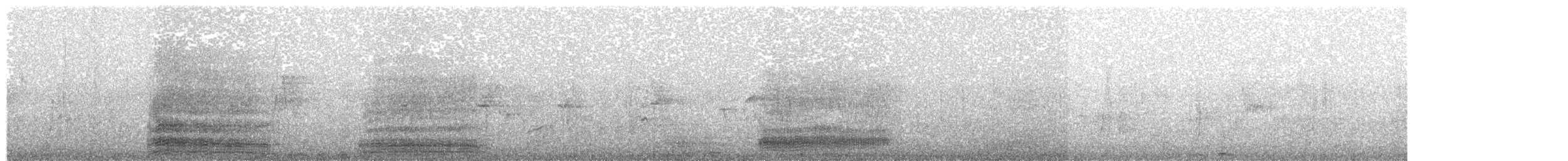 Küstenreiher (gularis) - ML203927741