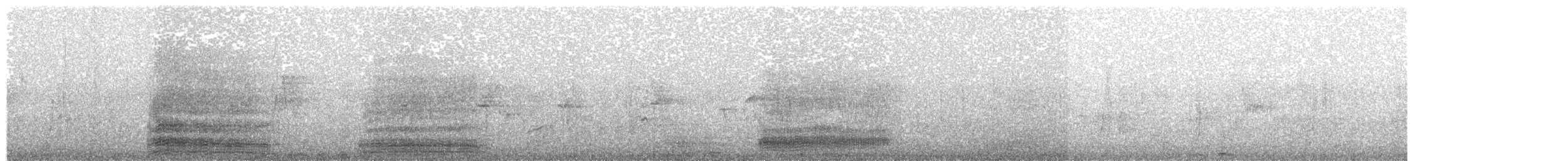 Western Reef-Heron (Western) - ML203927741