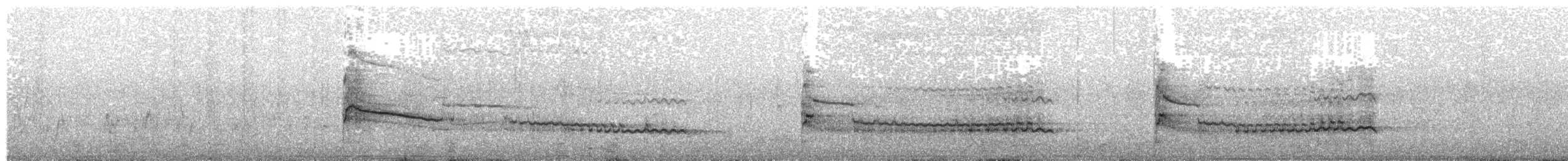luňák hnědý (ssp. aegyptius/parasitus) - ML203927781
