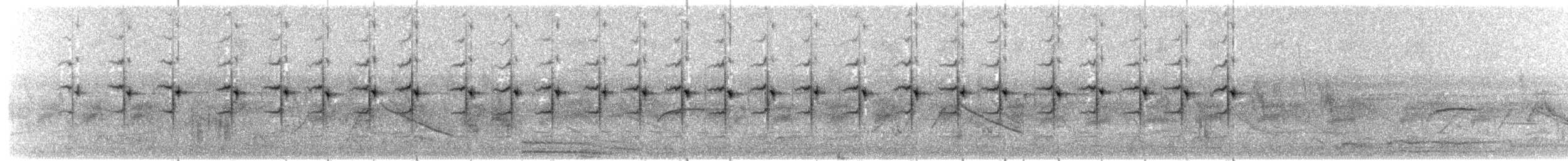 Schlichtprinie - ML203928491