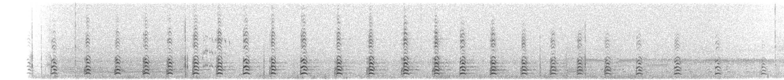 Zwergkanadagans (minima) - ML203928861