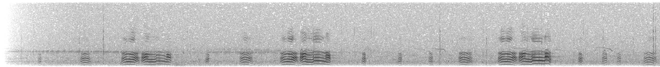 hoholka lední - ML203928931