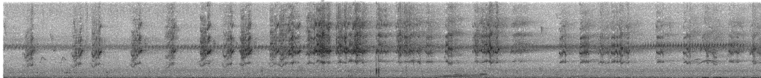 ecuadorparakitt - ML203929971