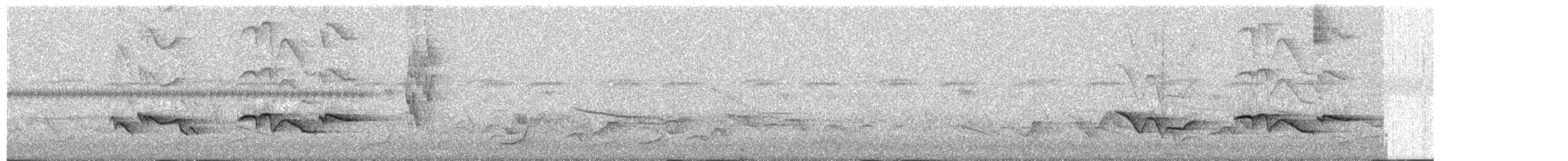 Merle de Reeve - ML203930081