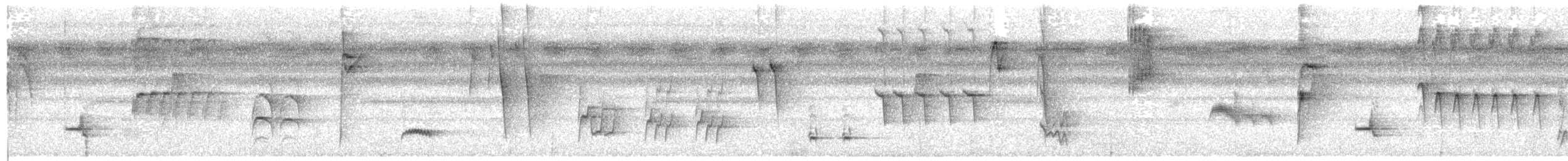 Kakaodrossel [fumigatus-Gruppe] - ML203930981