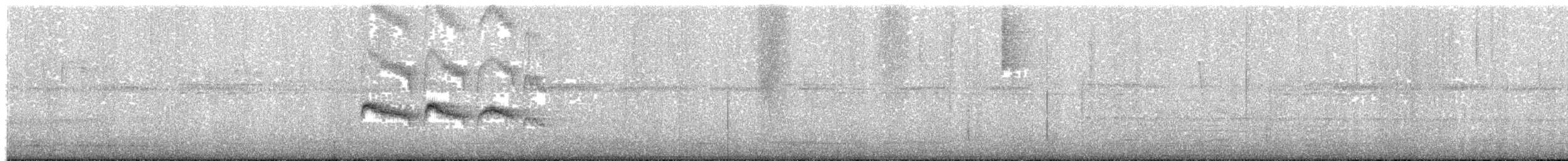 Graubrust-Schnäppertyrann - ML203931751