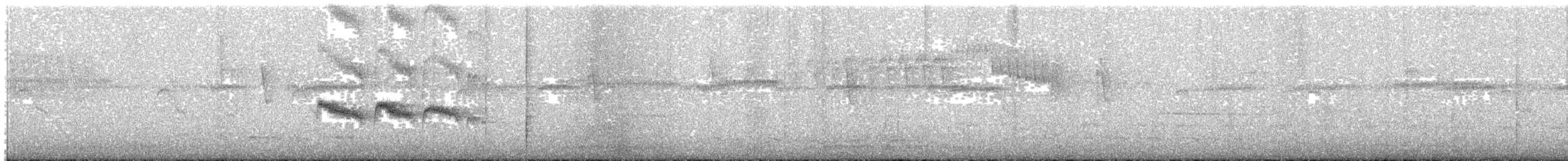 Graubrust-Schnäppertyrann - ML203931761