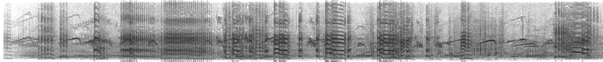 Цэн тогоруу - ML203932671