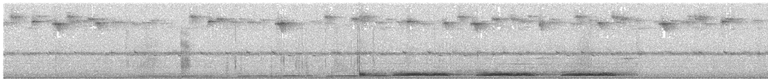 Marmorschwalm (plumiferus) - ML203932751