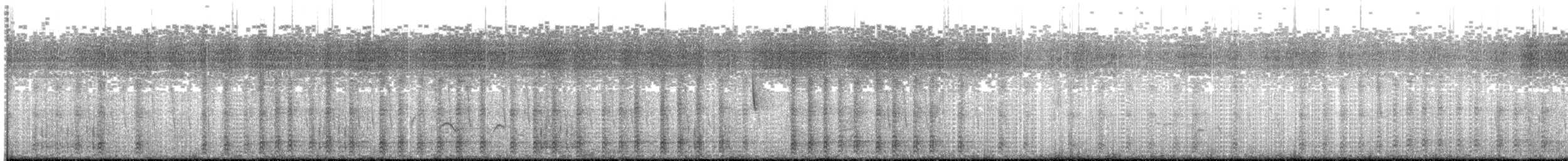 ムラサキモリヤツガシラ（damarensis） - ML203933351