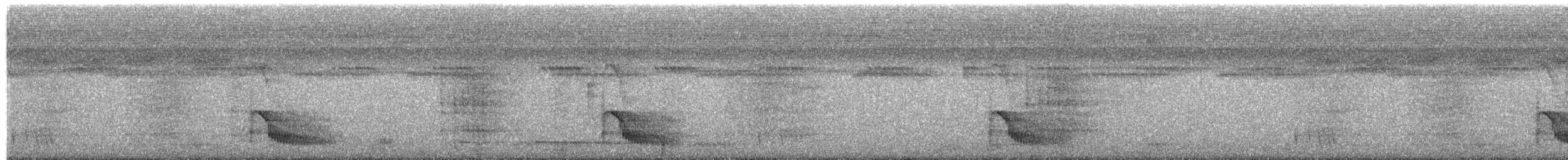 Rotspiegel-Ameisenvogel - ML203933891
