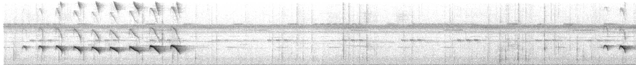 Kurzschwanz-Ameisenvogel - ML203934051