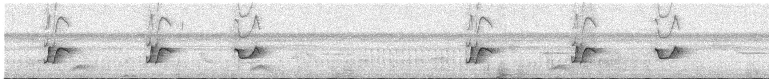 Тиранчик-короткодзьоб амазонійський - ML203934221