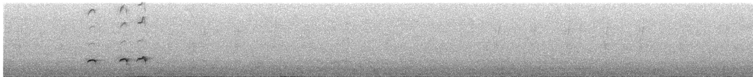 Grallaire d'Urrao - ML203934291