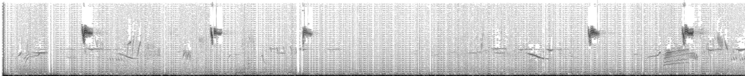 gulgumpbisp (capensis gr.) - ML203935491