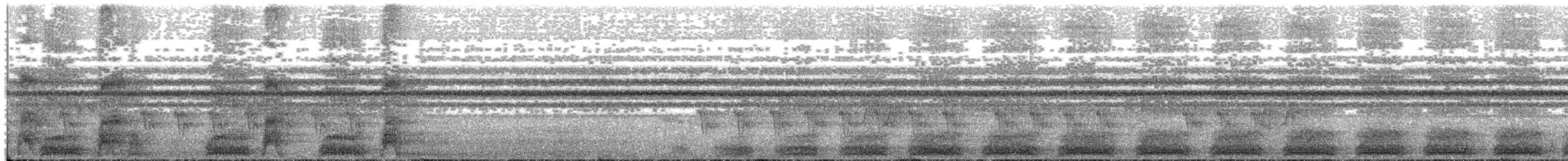 turako přílbový (ssp. phoebus) - ML203935591