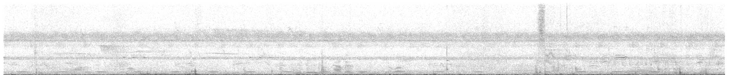 Fleckenbartvogel (hirsuta) - ML203936051
